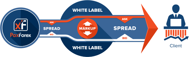 forex white label solutions