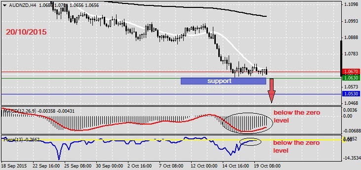 Analysis on AUDNZD 20.10.20151
