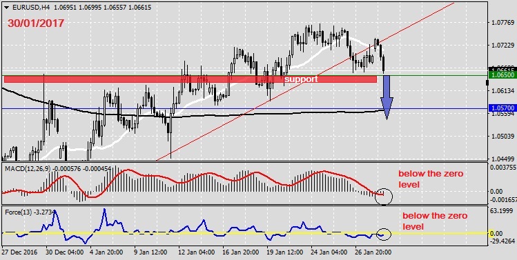 Analysis on EURUSD 30.01.20171