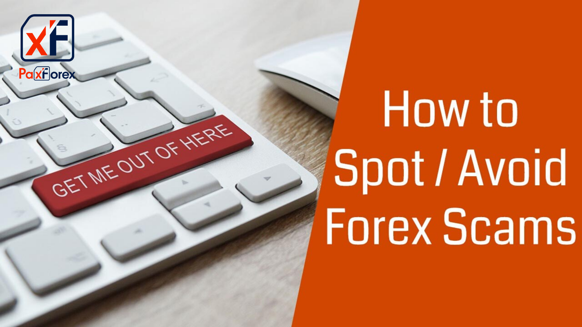 Full Guide on How to Spot and Avoid Scams in Forex Trading