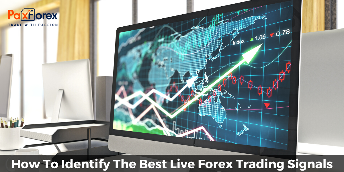How To Identify The Best Live Forex Trading Signals 