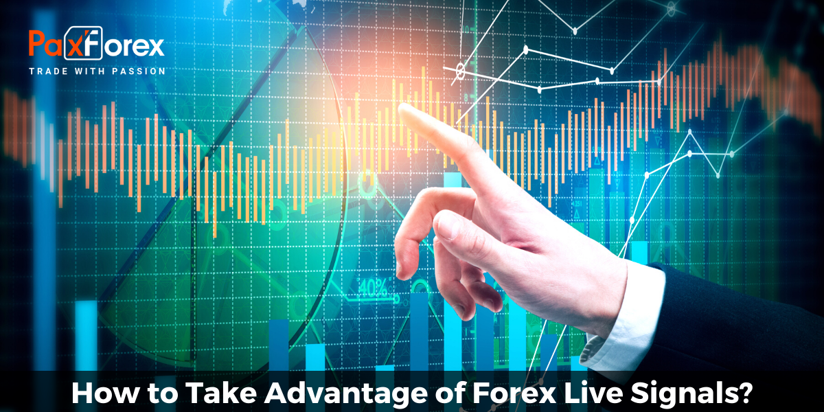 How to Take Advantage of Forex Live Signals? 