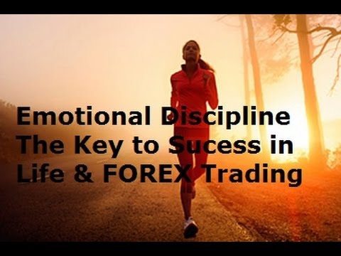 Can you control the emotions in forex trading1