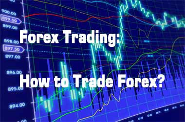  Can You Trade in The Forex Market?1