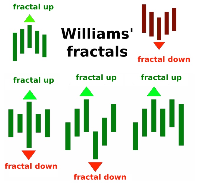 What is a fractal in forex moose in forex