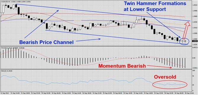 AUDUSD Twin Hammers at Support1