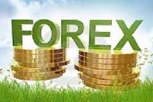 Commodity price influence in Forex