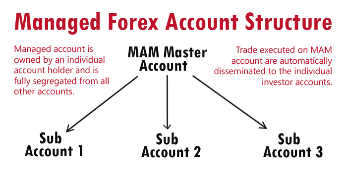 Managed forex accounts forex online free training