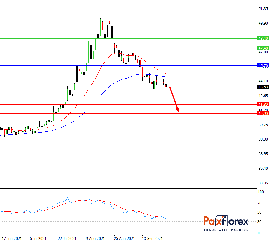 Pfizer | Fundamental Analysis