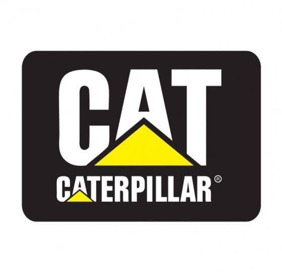 Caterpillar | Fundamental Analysis1