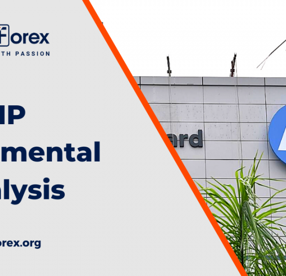 HP | Fundamental Analysis1