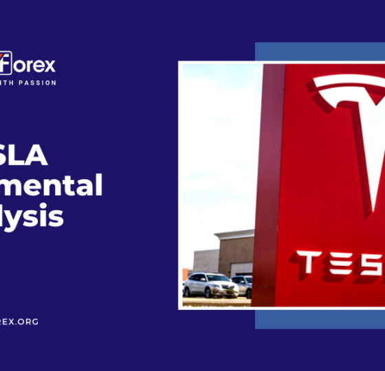 Tesla | Fundamental Analysis1