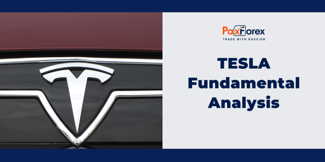 Tesla | Fundamental Analysis