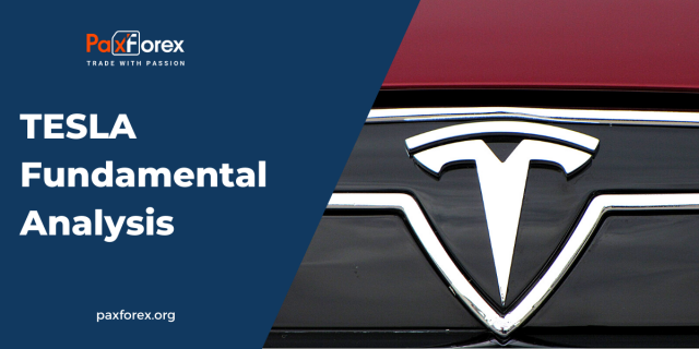 Tesla | Fundamental Analysis