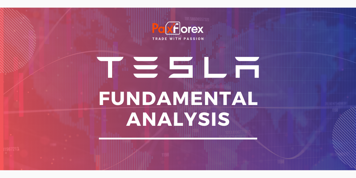 Tesla | Fundamental Analysis