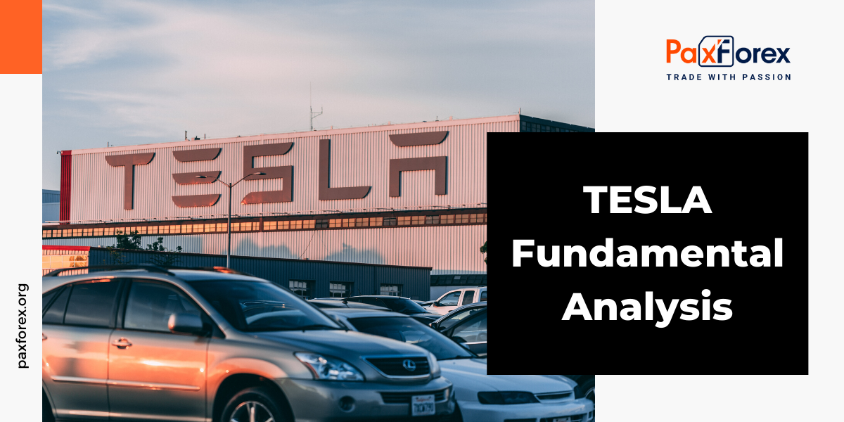 Tesla | Fundamental Analysis