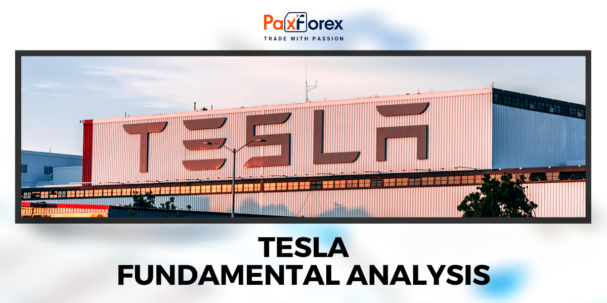 Tesla | Fundamental Analysis