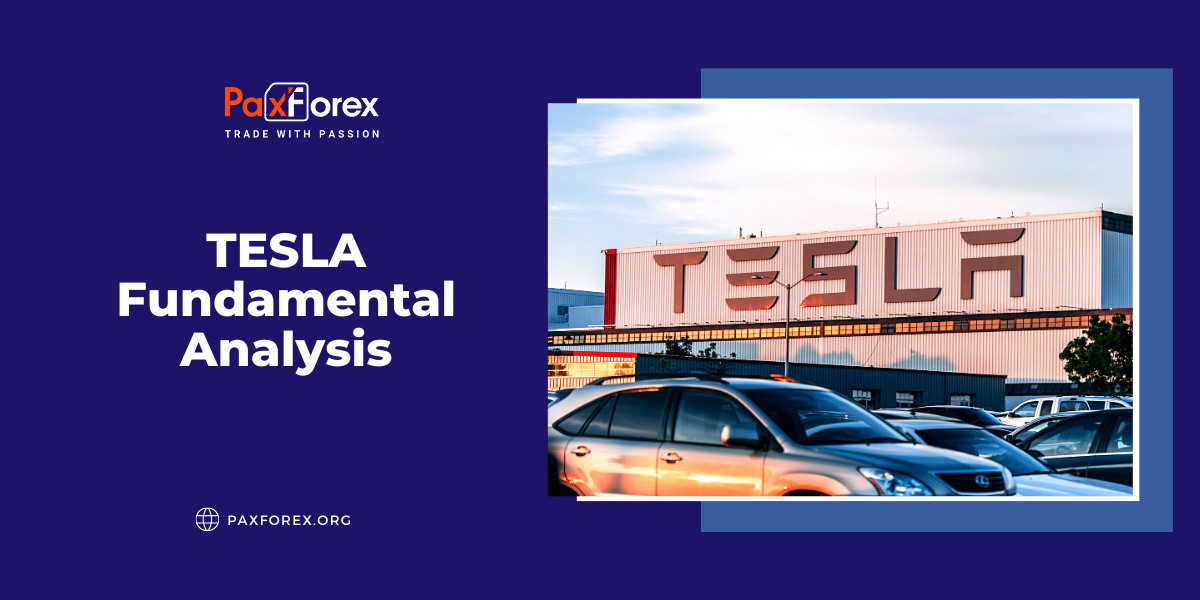 Tesla| Fundamental Analysis