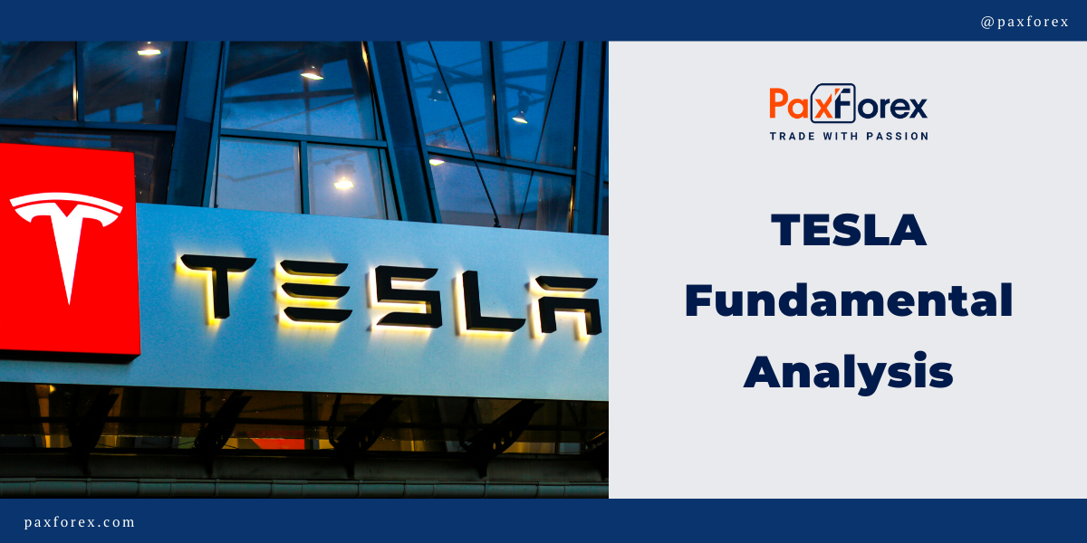 Tesla | Fundamental Analysis