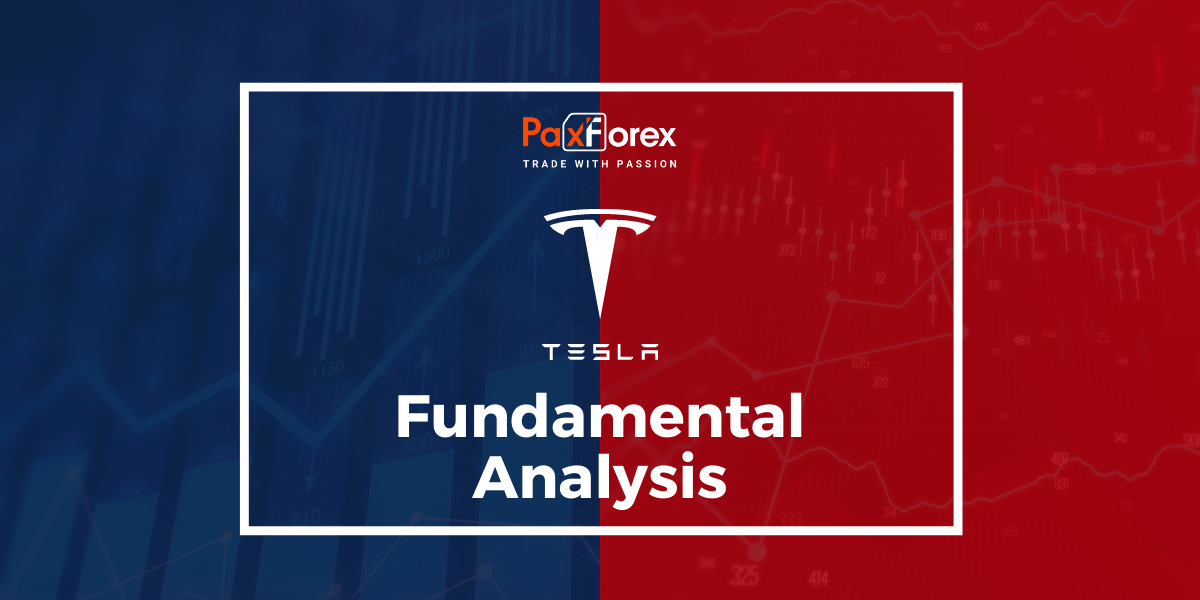 Tesla | Fundamental Analysis