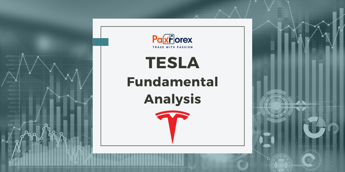 Tesla | Fundamental Analysis