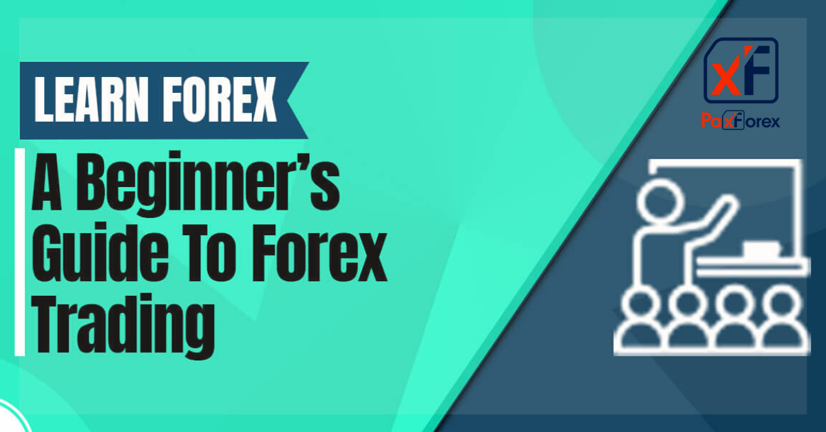 The beginners guide to Forex trading