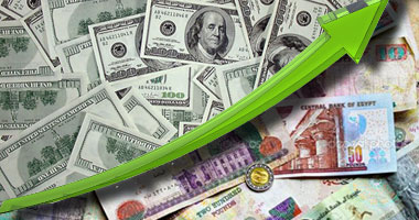 USD recovers from two-week lows1