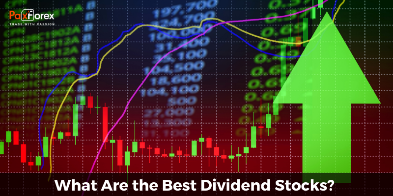 What Are the Best Dividend Stocks?