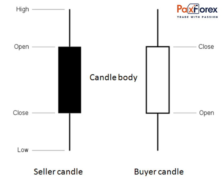  What is a Price Action Indicator?