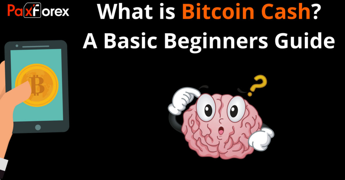 What is Bitcoin Cash?1