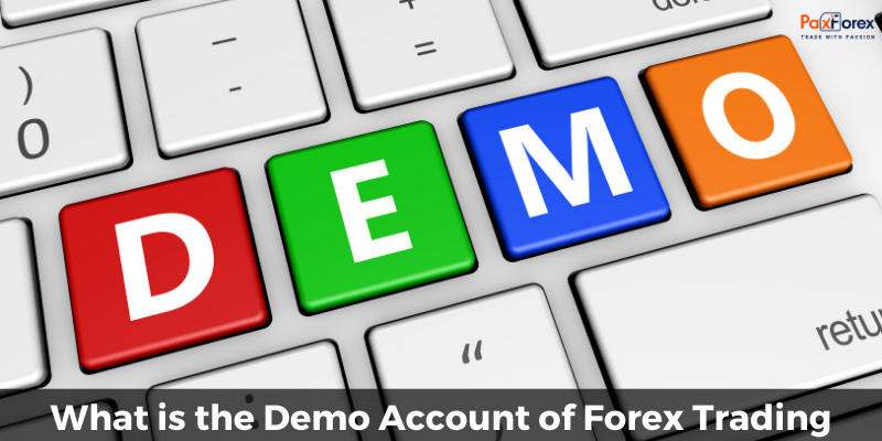 What is the Demo Account of Forex Trading